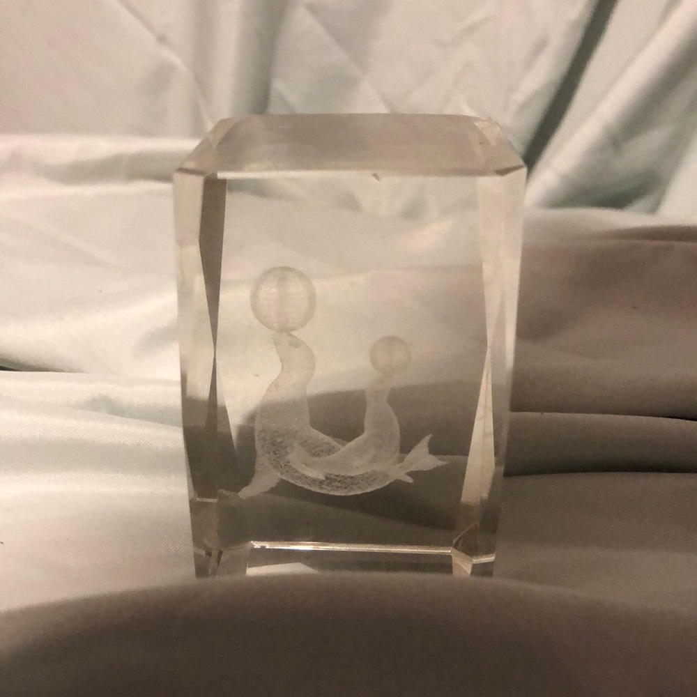 Acrylic cube with seals etched. Looks 3D